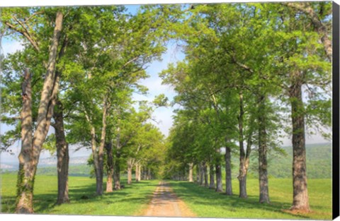 Framed Mohonk I Print