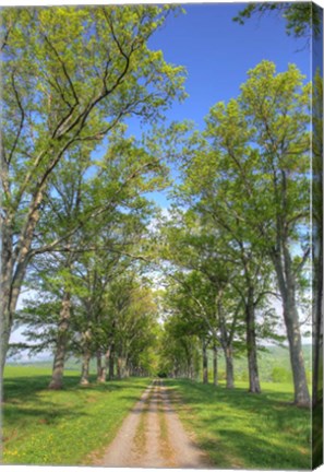 Framed Mohonk II Print