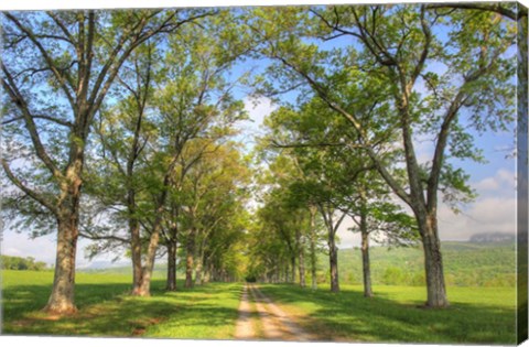 Framed Mohonk III Print