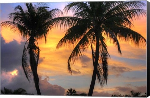 Framed Key West Two Palm Sunrise Print