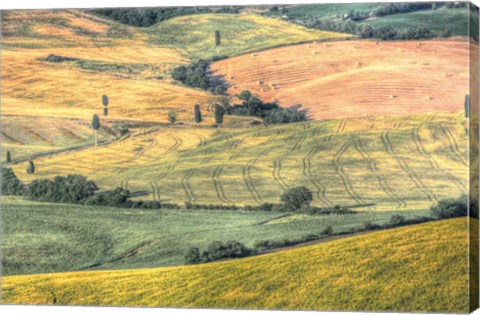 Framed Tuscan Field Patterns Print