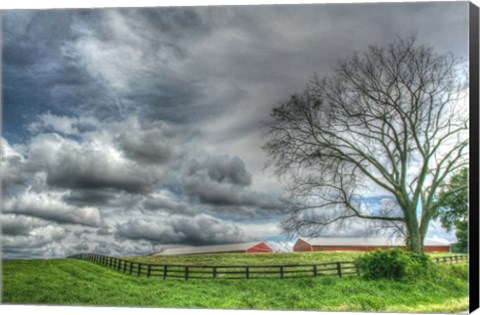 Framed Paddock Storm Print