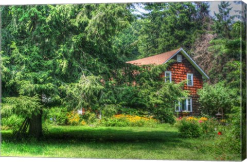 Framed Pine Tree and Cottages Print