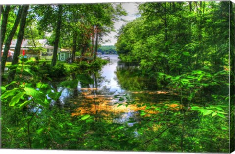 Framed Pond Cove Print