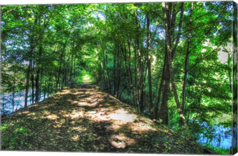 Framed Railtrail Viaduct Print