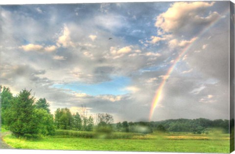 Framed Rainbow and Heron Print