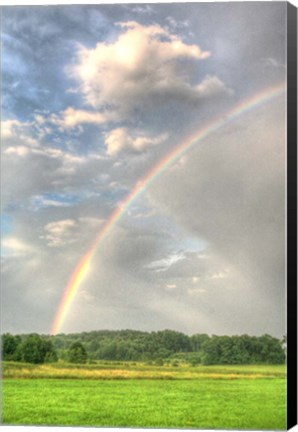 Framed Rainbow Vertical Print