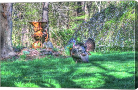 Framed Turkey and Corn Husker Print