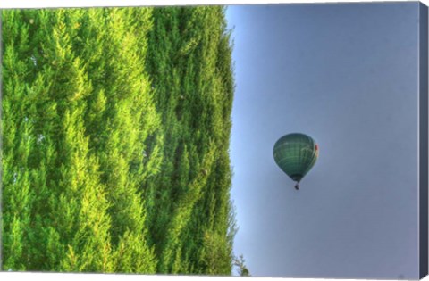 Framed Tuscan Cedar and Balloon Print