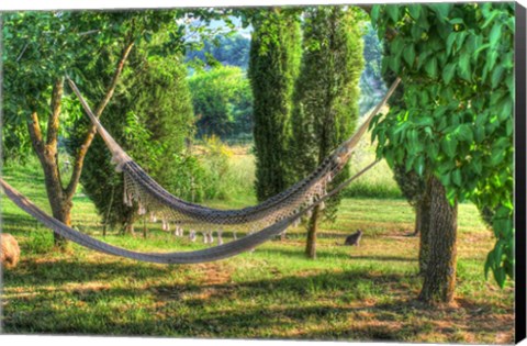Framed Tuscan Hammocks and Cat Print
