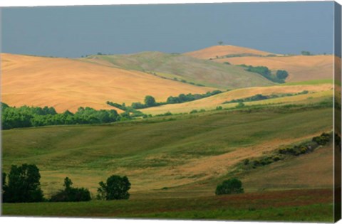 Framed Tuscan Hill I Print