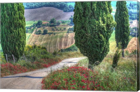 Framed Tuscan Red Flower Road Print