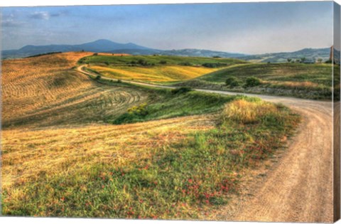 Framed Tuscan Ridge Top Trail Print