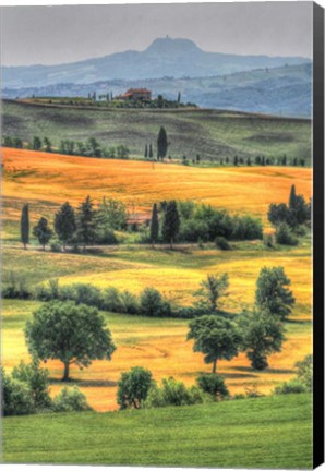 Framed Tuscan Vertical Switchbacks Print