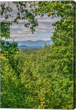 Framed Val Kill View Vertical Print