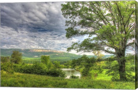 Framed View from the Oxbow Print