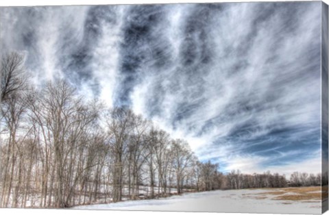 Framed Winter Treeline Print