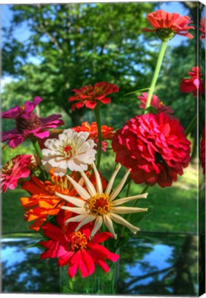 Framed Zinnia Bouquet Print