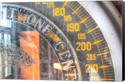 Framed Penny Scale detail Print