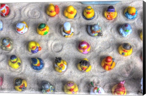 Framed Rubber Duckies from Above Print
