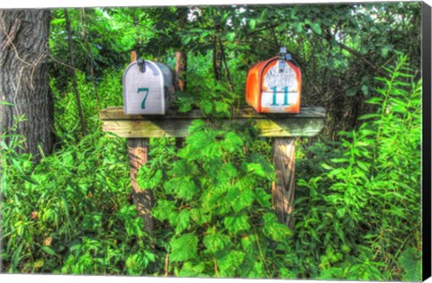 Framed Two Mailboxes Print
