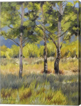 Framed Aspens Print
