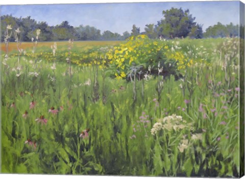 Framed Summer Meadows Print