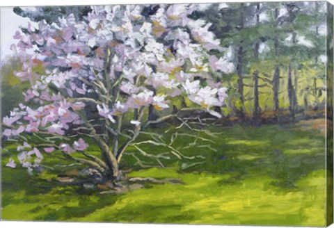 Framed Magnolia Print