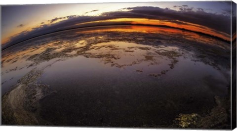 Framed Etang St Cyp Color Print