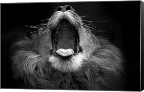 Framed Mujambi Print