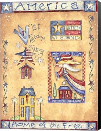 Framed Patriotic Pattern II Print