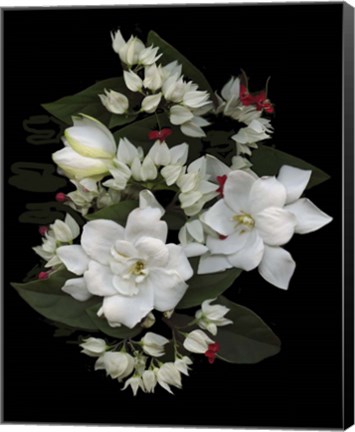 Framed Bleeding Hearts &amp; Gardenia Print