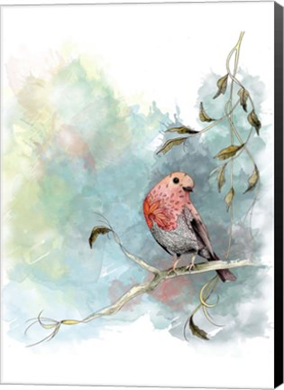 Framed Robin&#39;s Winter Print