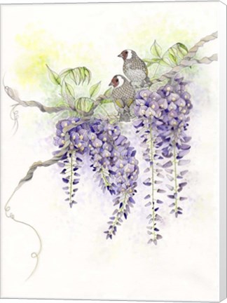 Framed Wisteria Print