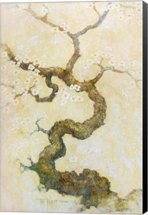 Framed Dogwood Print