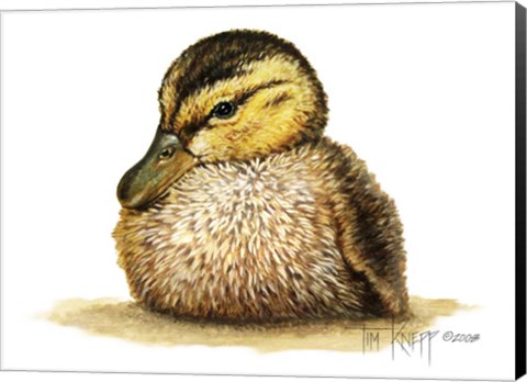 Framed Duckling Print