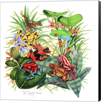 Framed Frogs About Print