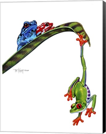 Framed Frogs Hanging Out Print