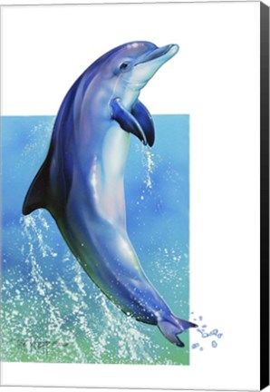 Framed Jump Dolphin Print