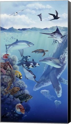 Framed Oceanic Print