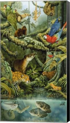 Framed Rainforest Print