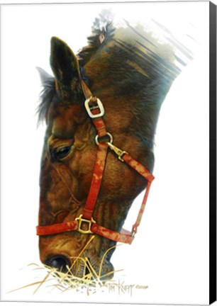 Framed Equestian Print