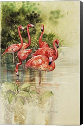 Framed Flamingo Paper Print