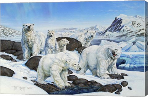 Framed Polar Bears Print