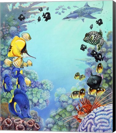 Framed Puffer Reef Print