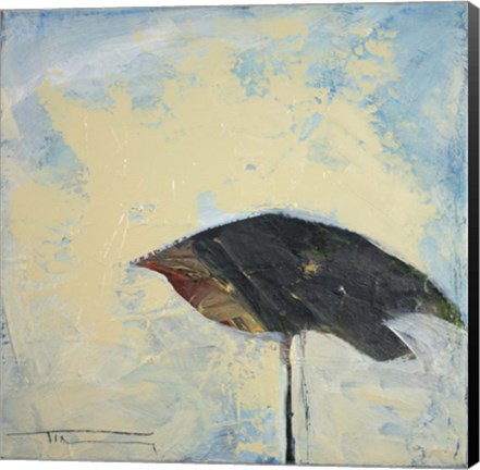 Framed Snowbird Print