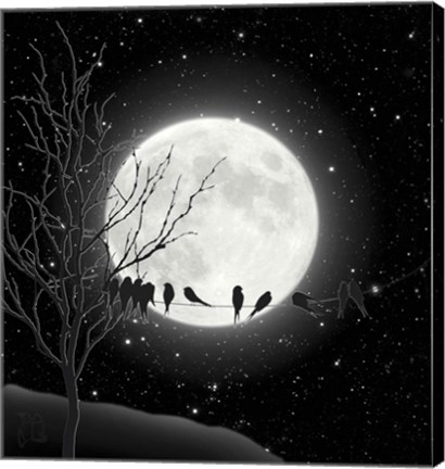 Framed Moon Bath I Print