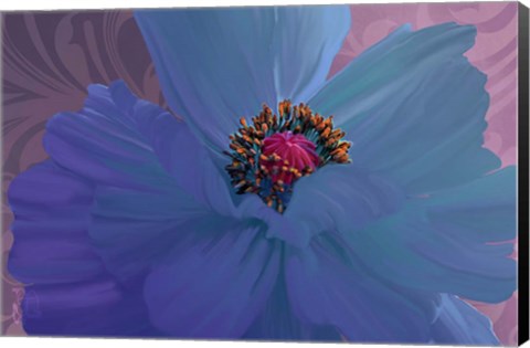 Framed Afterglow Print