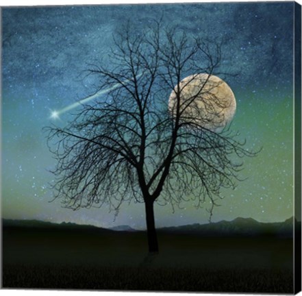 Framed Solitude Print