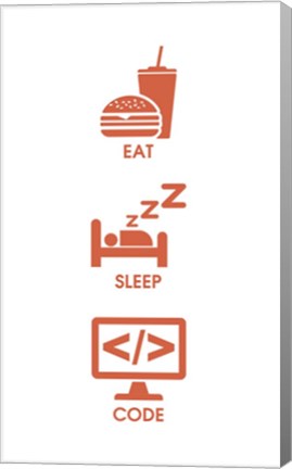 Framed Eat Sleep Code - Orange Icons Print